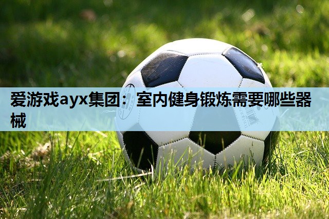 室内健身锻炼需要哪些器械 室内健身锻炼需要哪些器械