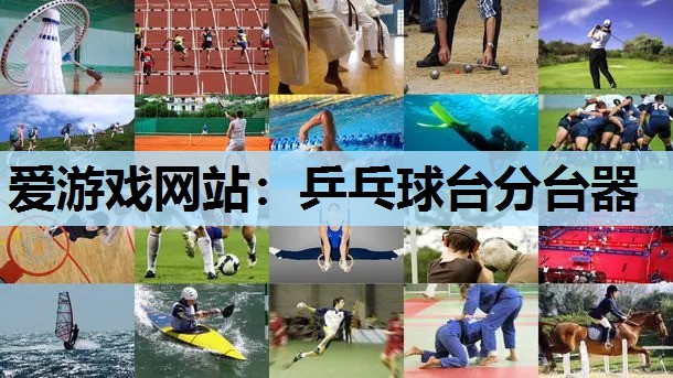乒乓球台分台器 乒乓球台分台器