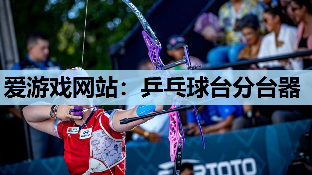 乒乓球台分台器 乒乓球台分台器