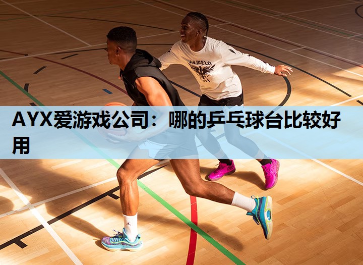 哪的乒乓球台比较好用 哪的乒乓球台比较好用
