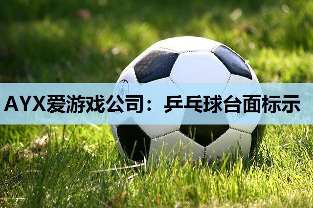 乒乓球台面标示 乒乓球台面标示