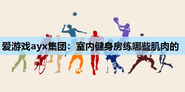 室内健身房练哪些肌肉的 室内健身房练哪些肌肉的