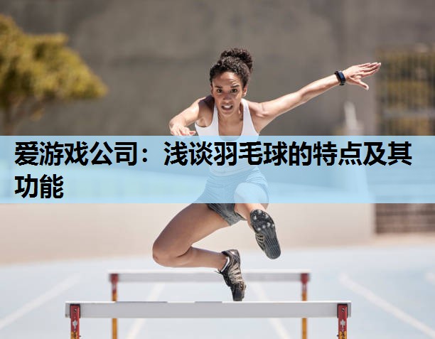 浅谈羽毛球的特点及其功能 浅谈羽毛球的特点及其功能
