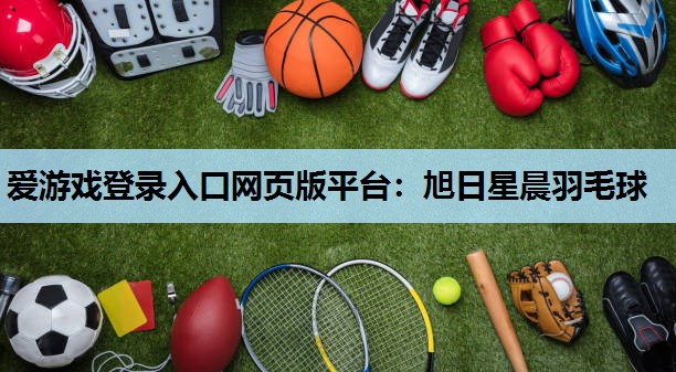旭日星晨羽毛球 旭日星晨羽毛球